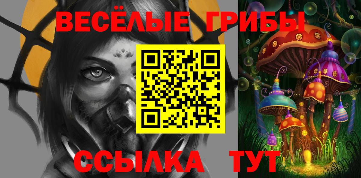Псилоцибиновые грибы MAGIC MUSHROOMS  Вход с VPN  Бугульма  Псилоцибиновые грибы Psilocybine cubensis 